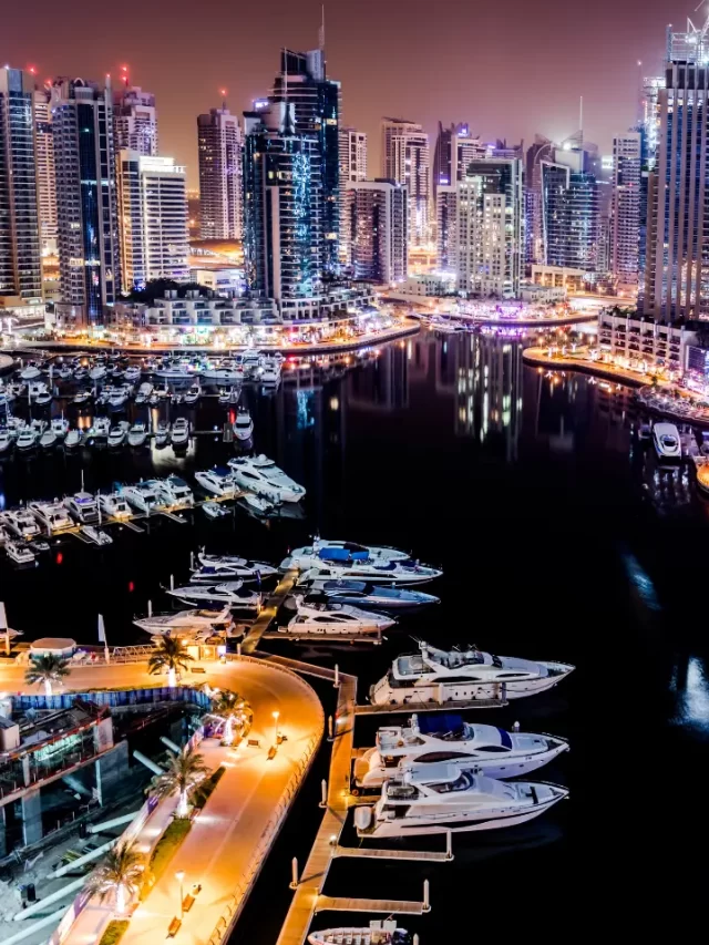 Visit Dubai Where the Night Sky Shines Bright(2)